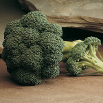 Arcadia Broccoli