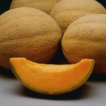 Athena  Cantaloupe