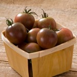 Black Cherry Tomato