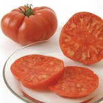 Brandywine Tomato