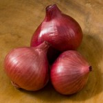 Camelot Shallot