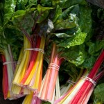 Coastal Star  Swiss Chard