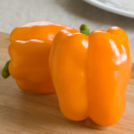 Gourmet Bell Pepper