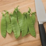 Oregon Giant Snow Pea