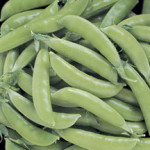 Super Sugar Snap Pea