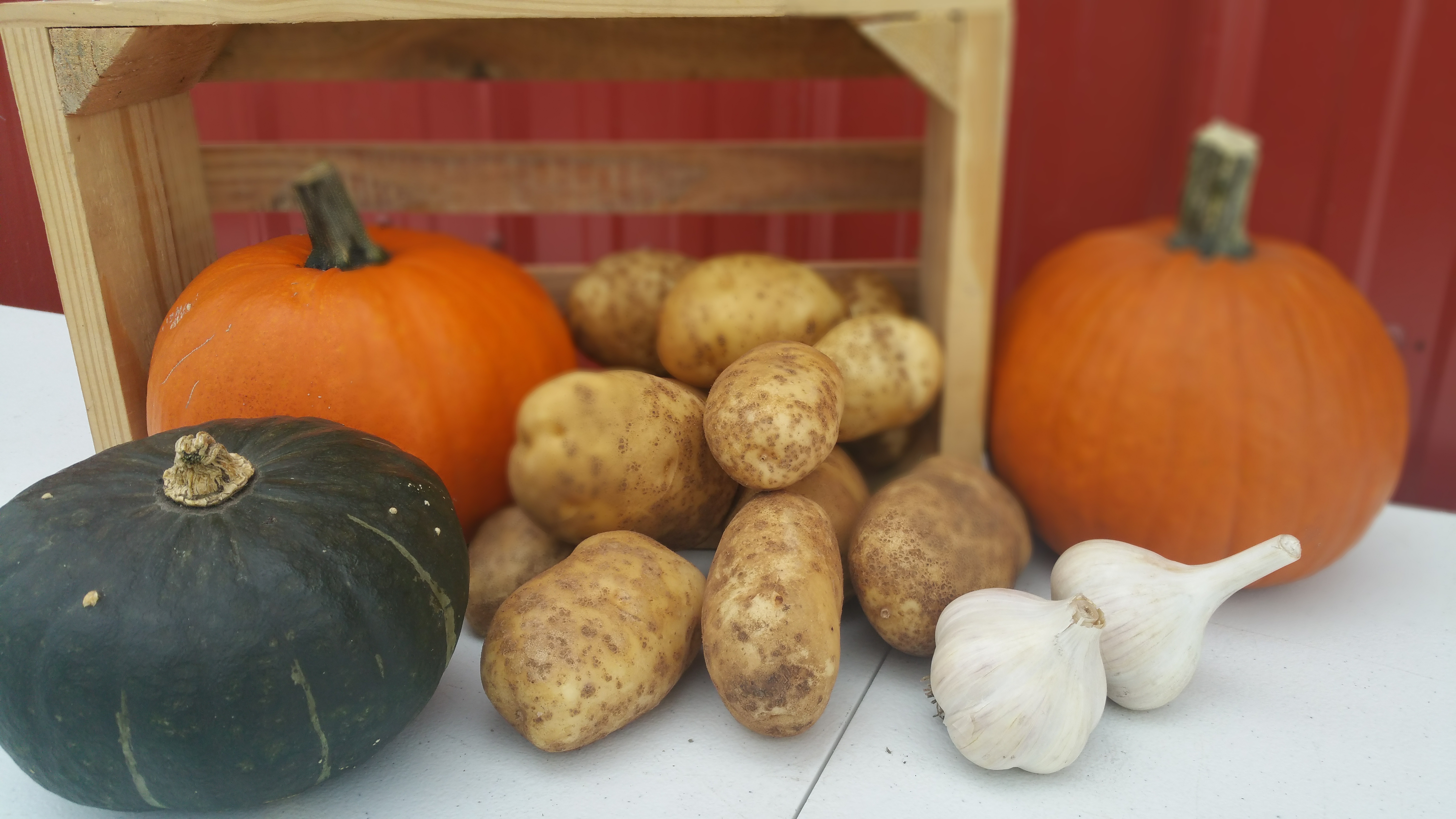 Fall Basket